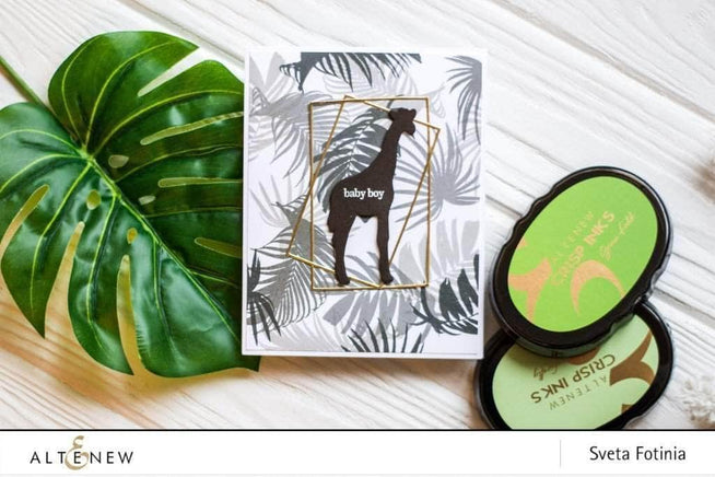 Photocentric Clear Stamps Wild Ferns Stamp Set