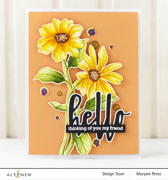 Photocentric Clear Stamps Wild Flora Stamp Set