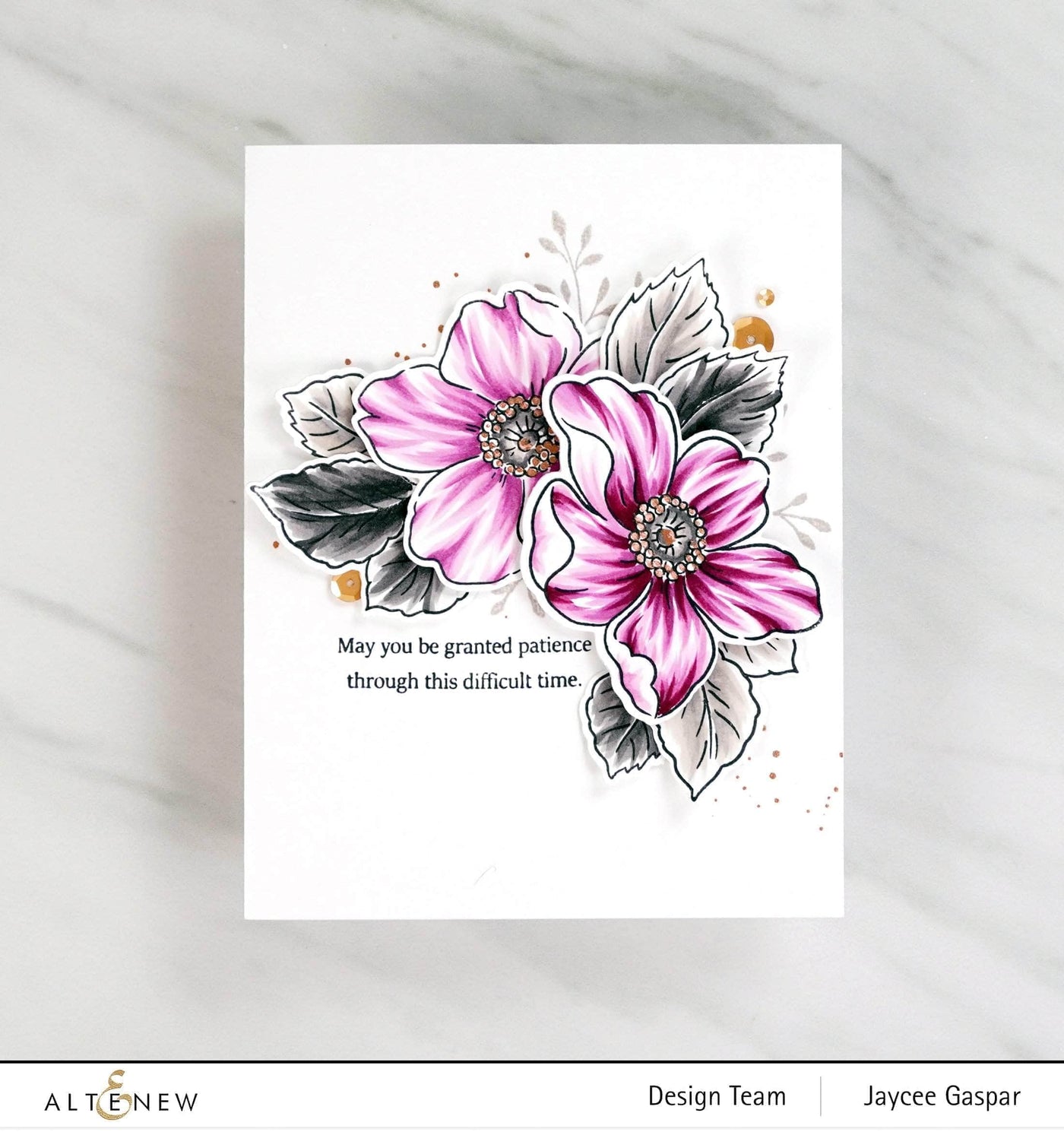 Photocentric Clear Stamps With Deepest Sympathy Stamp Set