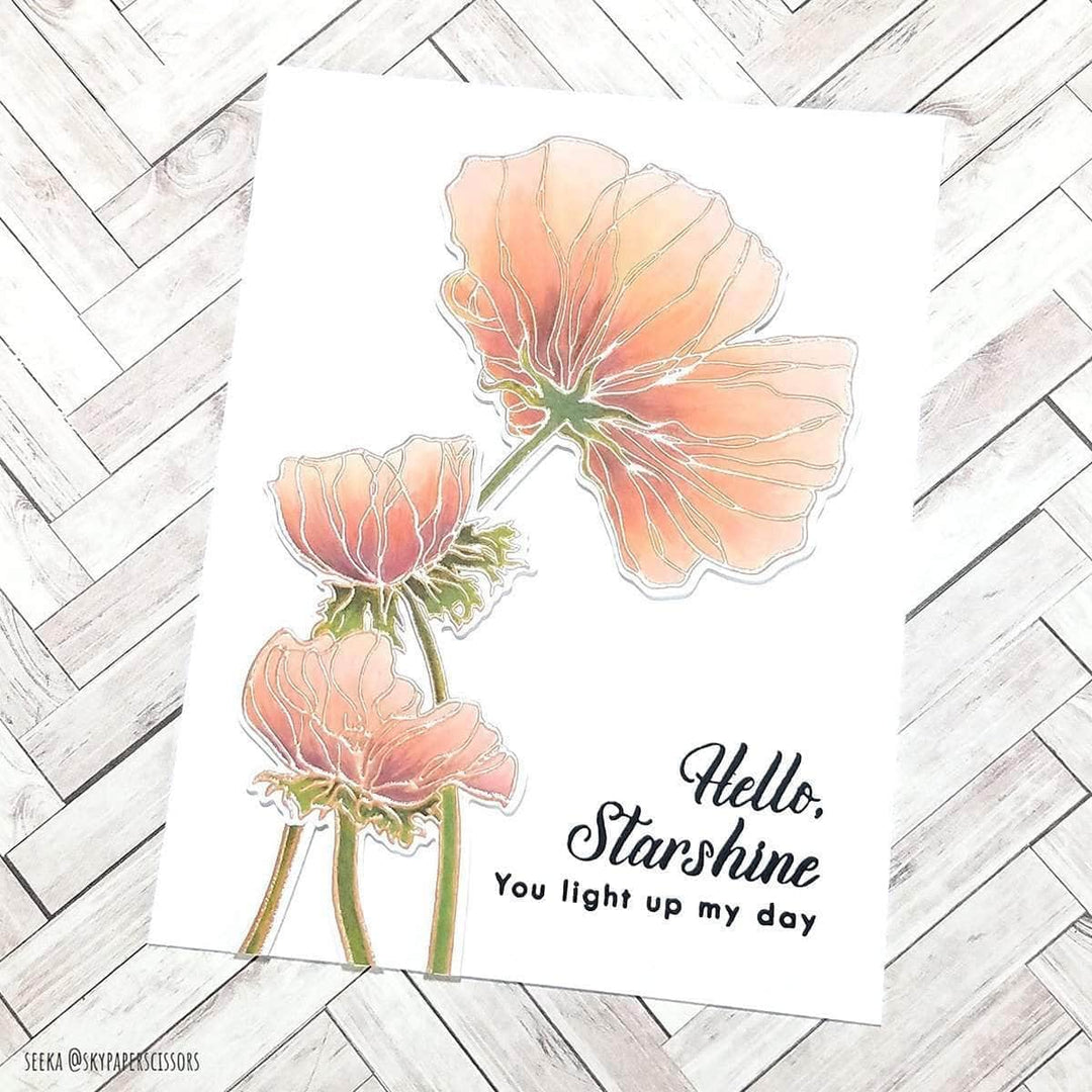 Photocentric Clear Stamps Wonderland Stamp Set