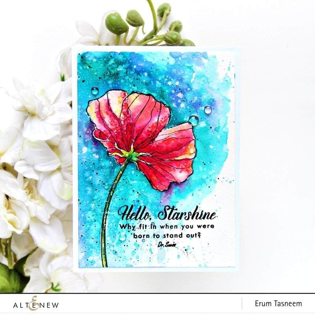 Photocentric Clear Stamps Wonderland Stamp Set