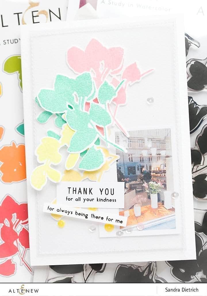 Photocentric Clear Stamps Z - A Study in Watercolor Stamp Set