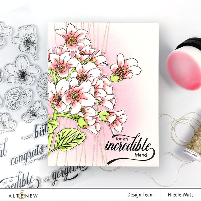 Photocentric Clear Stamps Bergenia Builder Stamp Set