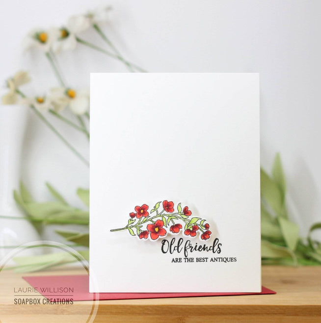 Photocentric Clear Stamps Focus on You Stamp Set