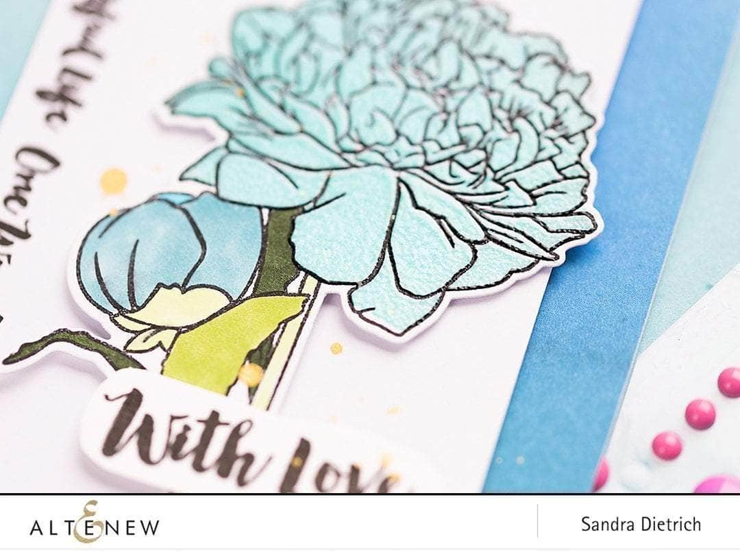 Photocentric Clear Stamps Happy Together Stamp Set