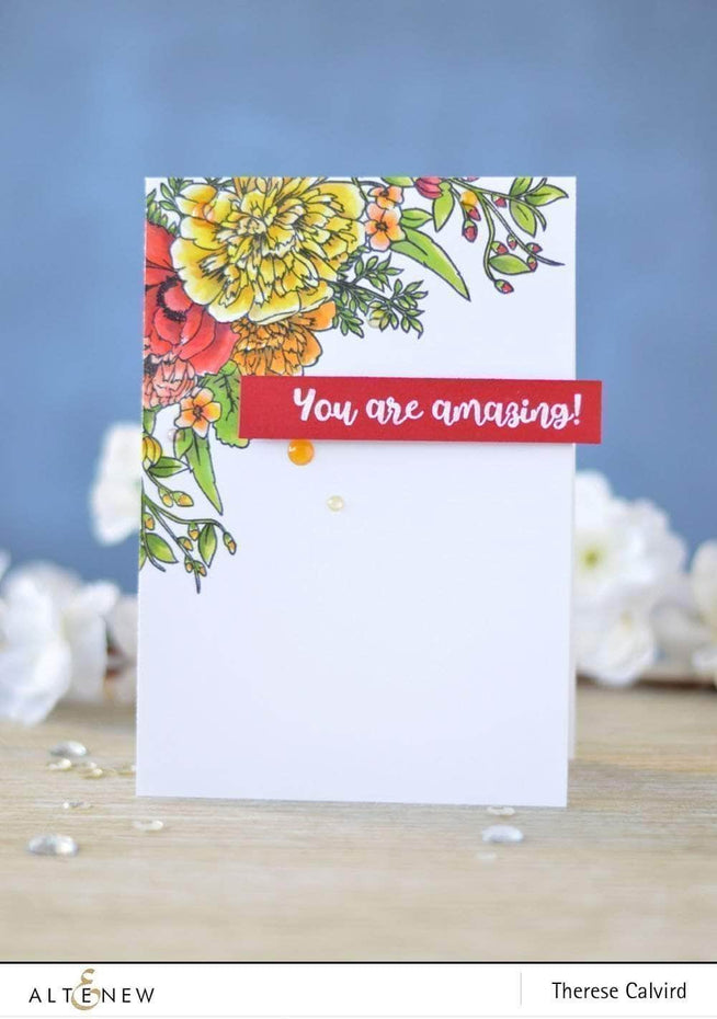 Photocentric Clear Stamps Just Because Stamp Set