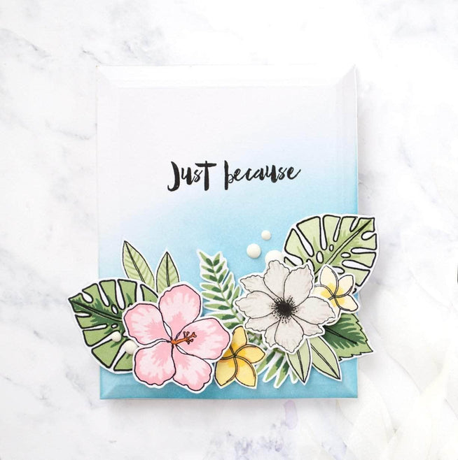 Photocentric Clear Stamps Parrot Paradise Stamp Set