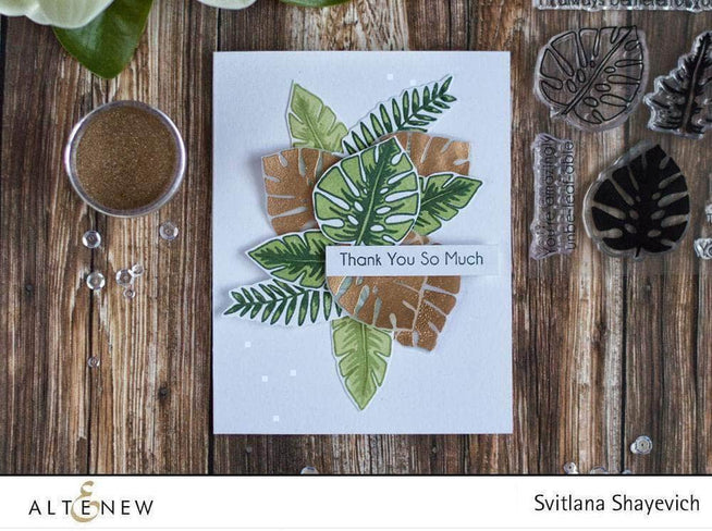 Photocentric Clear Stamps Parrot Paradise Stamp Set