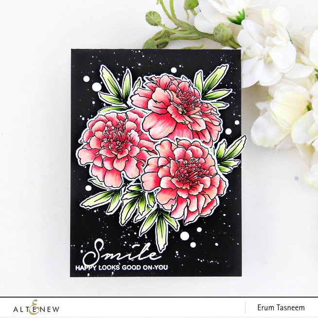 Photocentric Clear Stamps Smiles and Hugs Stamp Set