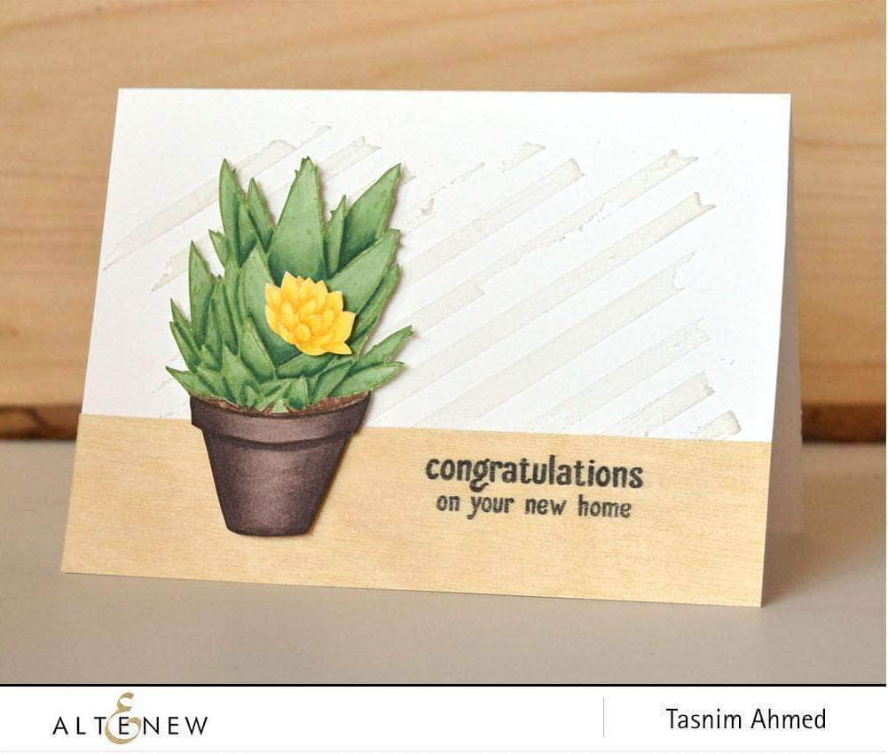Photocentric Clear Stamps Succulents Stamp Set
