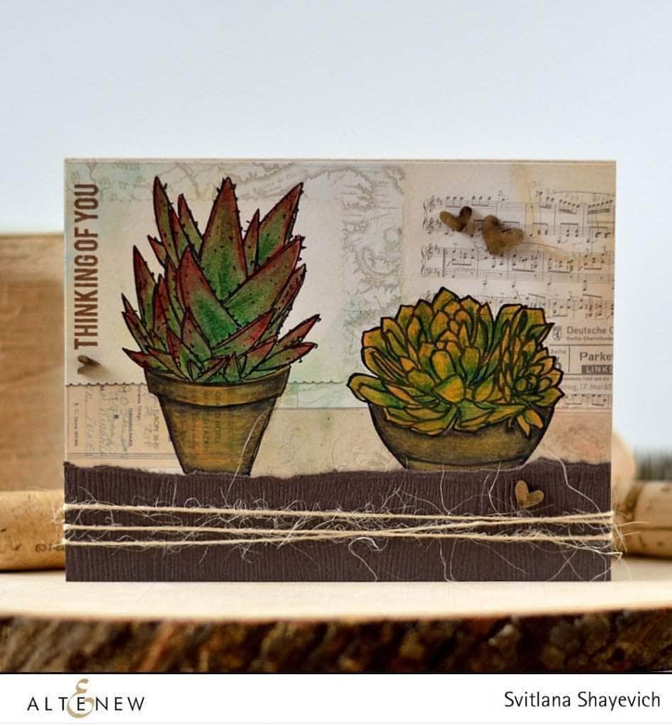 Photocentric Clear Stamps Succulents Stamp Set