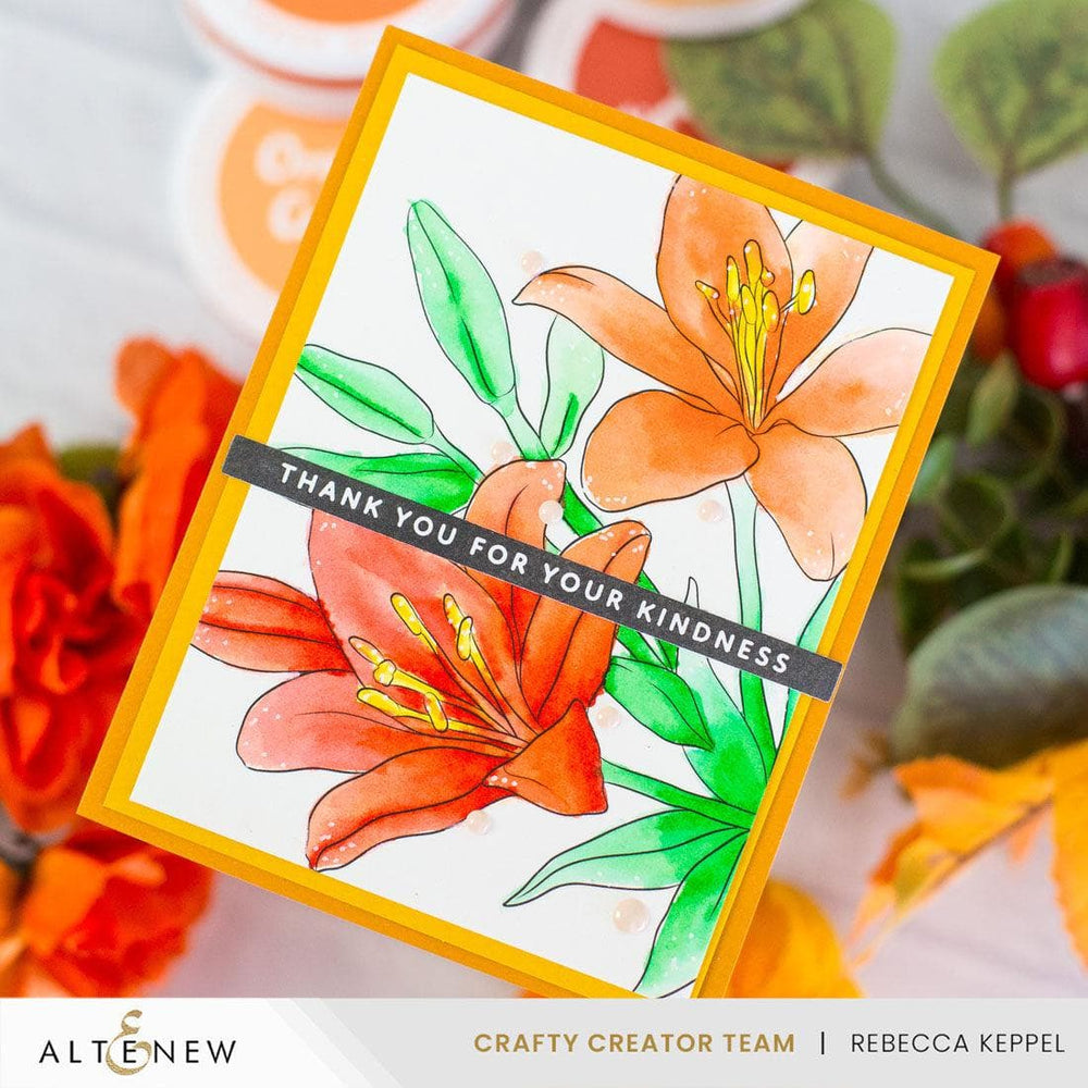 Botanical Elegance: Capture the Colors of Nature Alcohol Marker Coloring Sheets