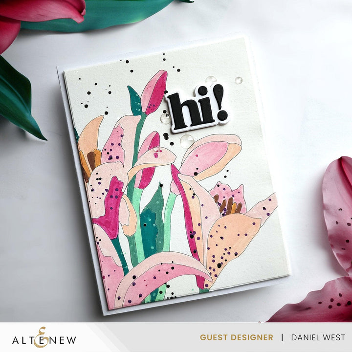 Instant Artist Paint-by-Numbers Bundle