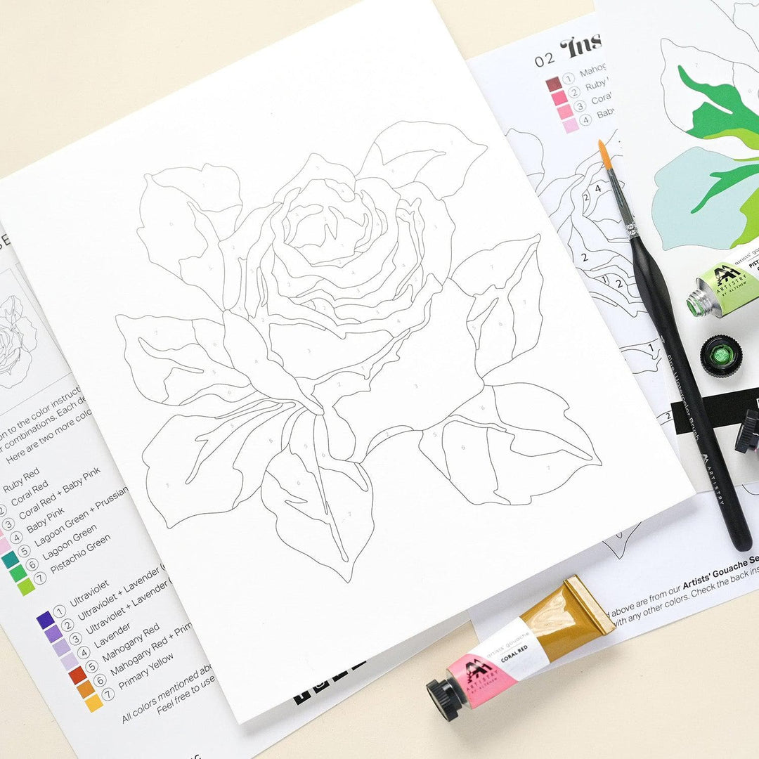 EXP Factors Coloring Book Paint-by-Number: Classical Roses