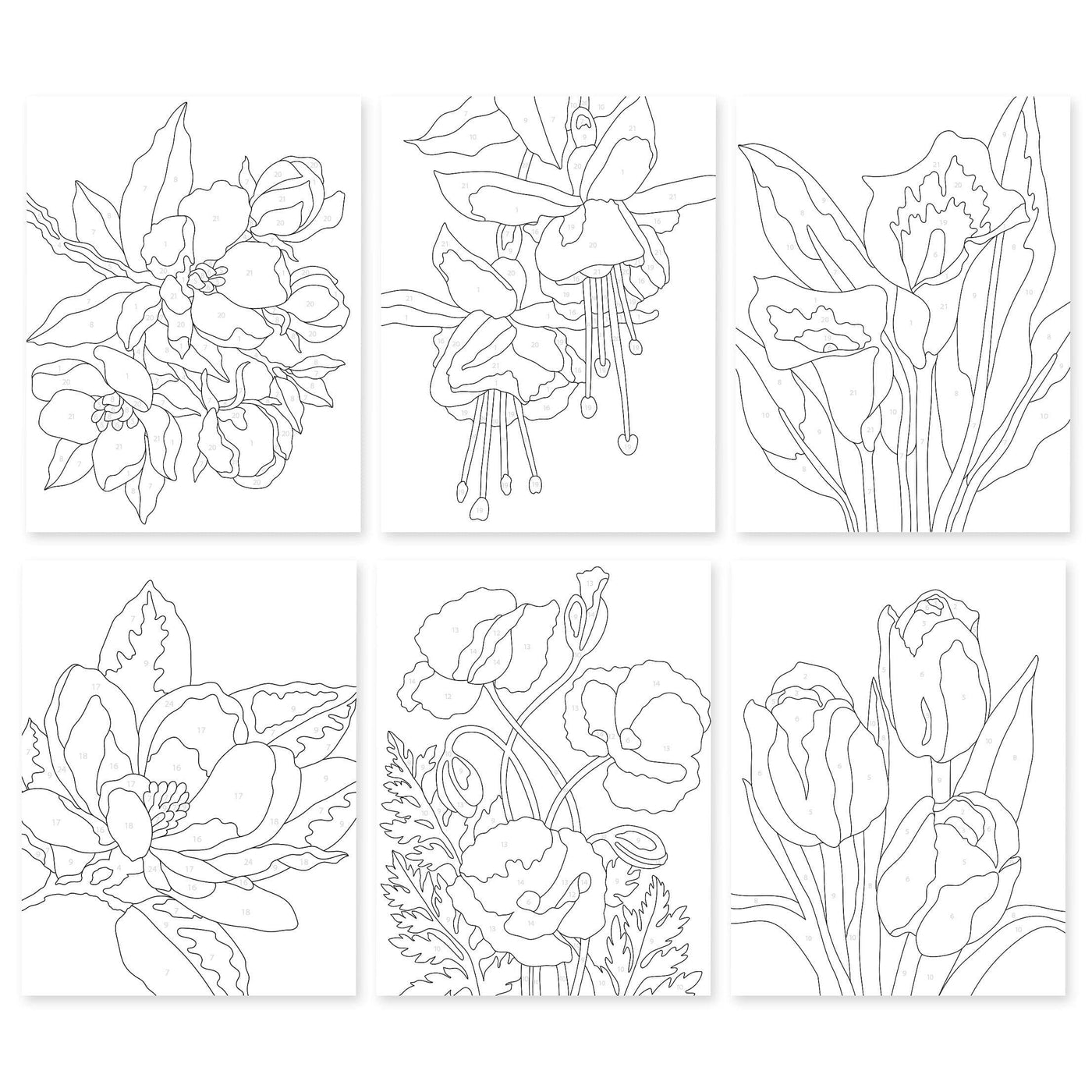 Paint-by-Number: Instant Artist - Blossoming Florals (12 Sheets)