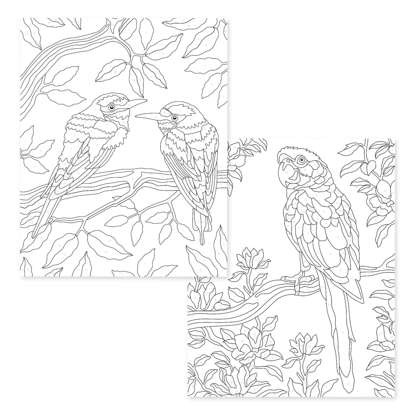 Paint-by-Number: Instant Artist - Feathered Foliage (4 Sheets)