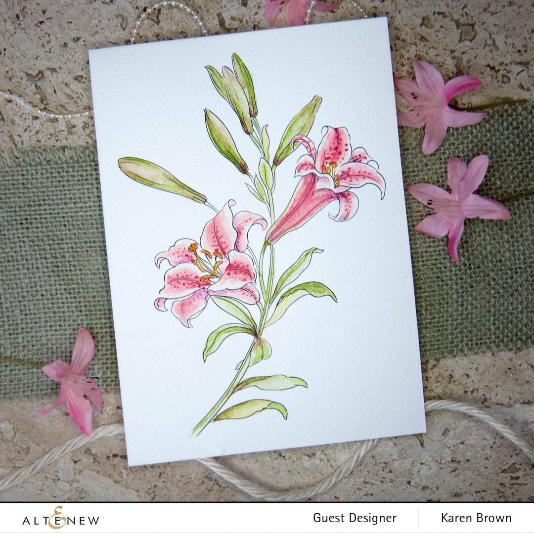 Kiaace Co. Ltd. Coloring Book Watercolor Coloring Book