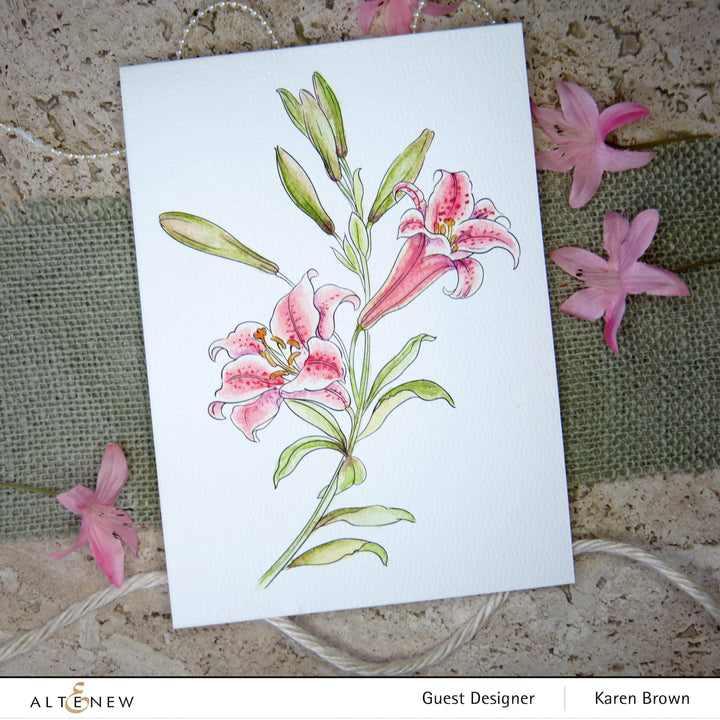 Kiaace Co. Ltd. Coloring Book Watercolor Coloring Book