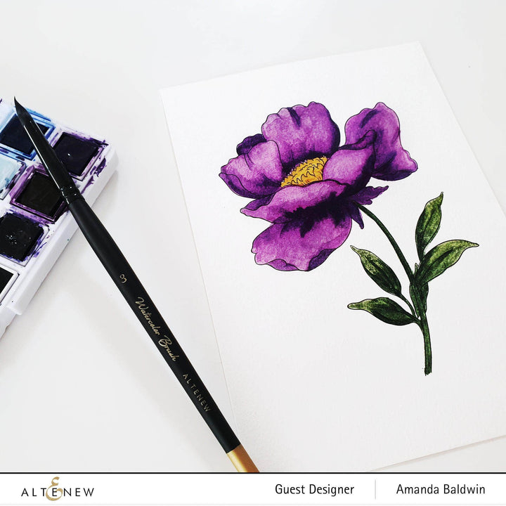 Kiaace Co. Ltd. Coloring Book Watercolor Coloring Book