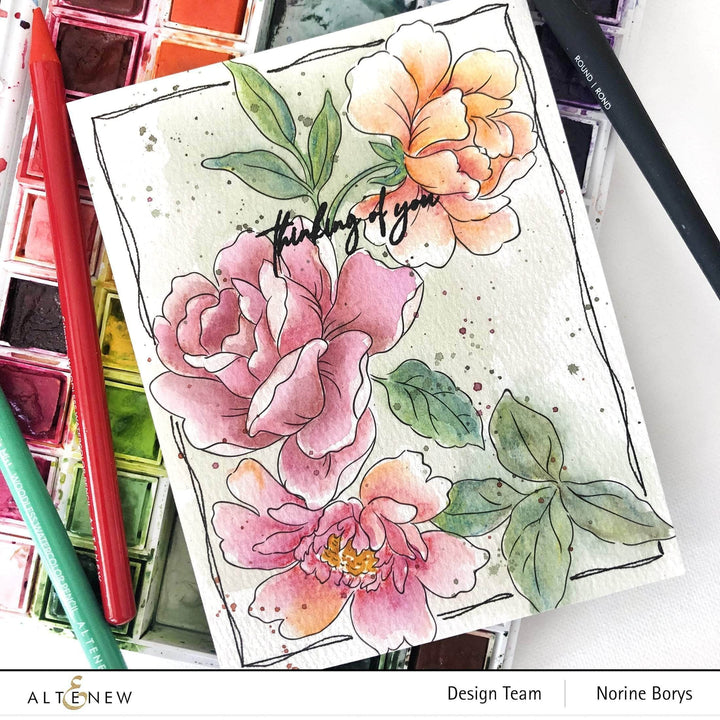 Kiaace Co. Ltd. Coloring Book Watercolor Coloring Book