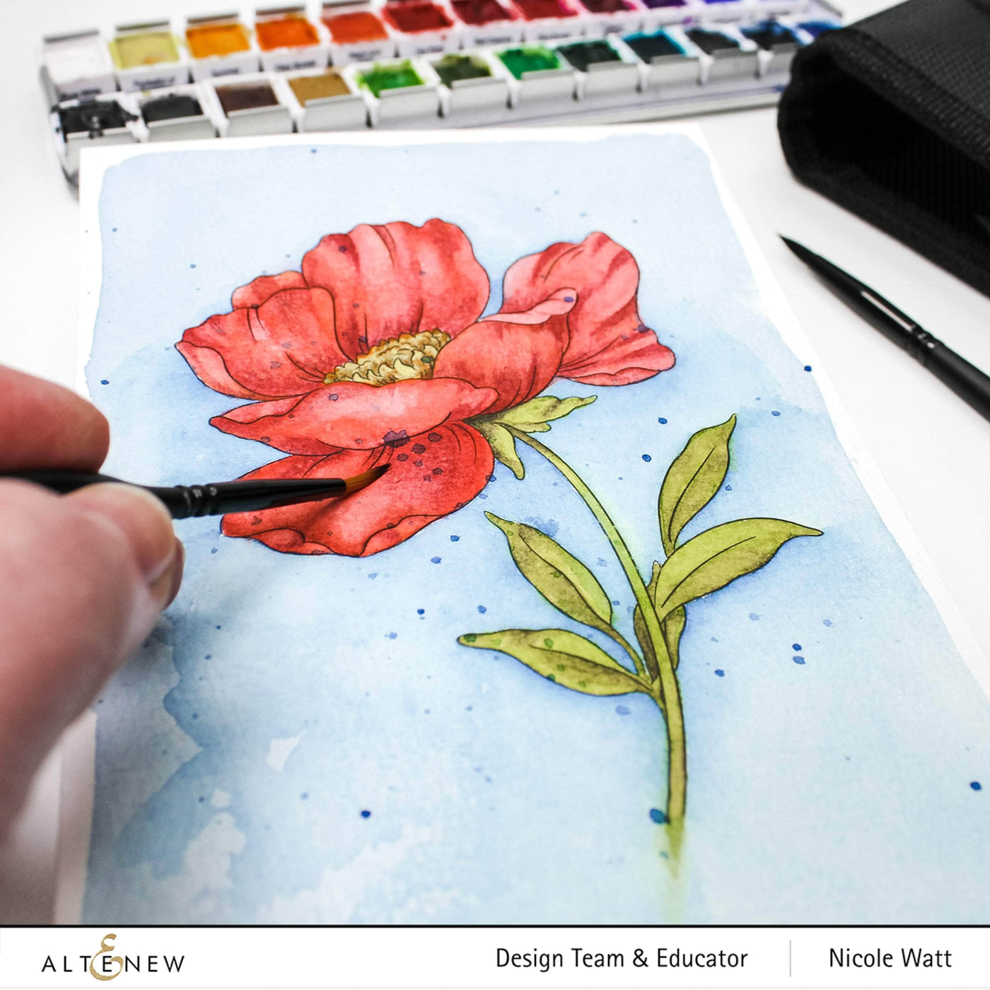 Watercolor Coloring Book & Watercolor 12 Pan Set Bundle, Altenew
