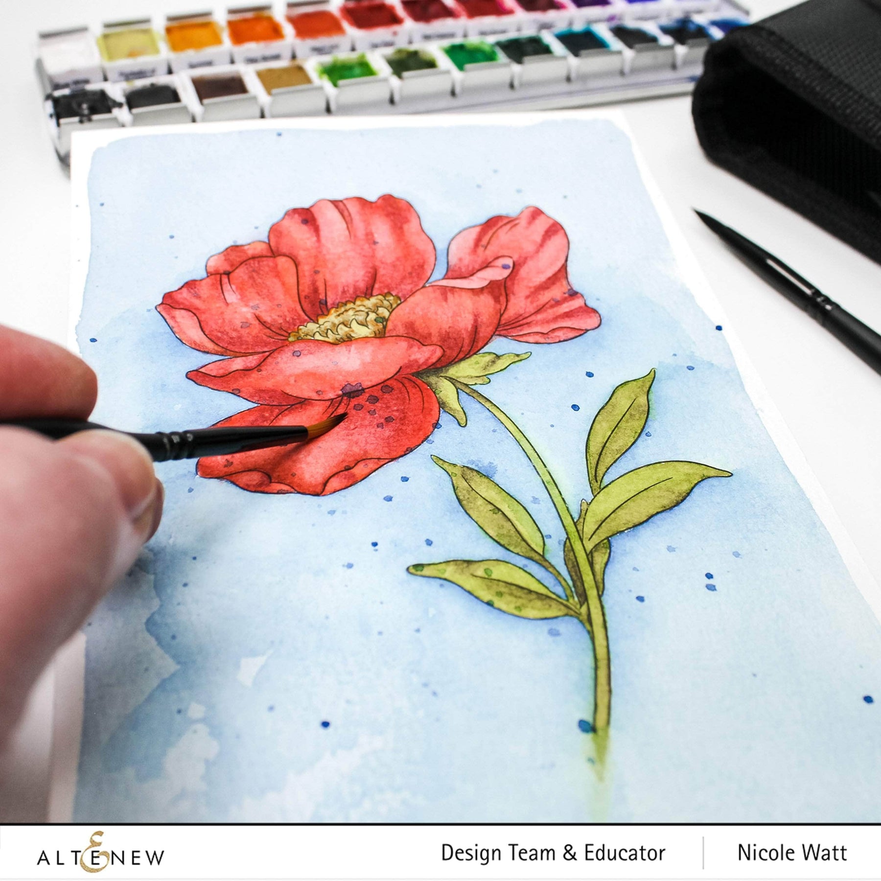 Coloring with Watercolor in Adult Coloring Books 