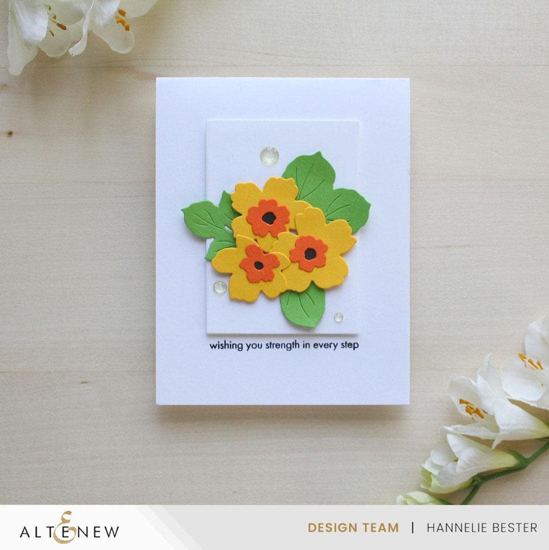 Craft Your Life Project Kit: Bold & Beautiful