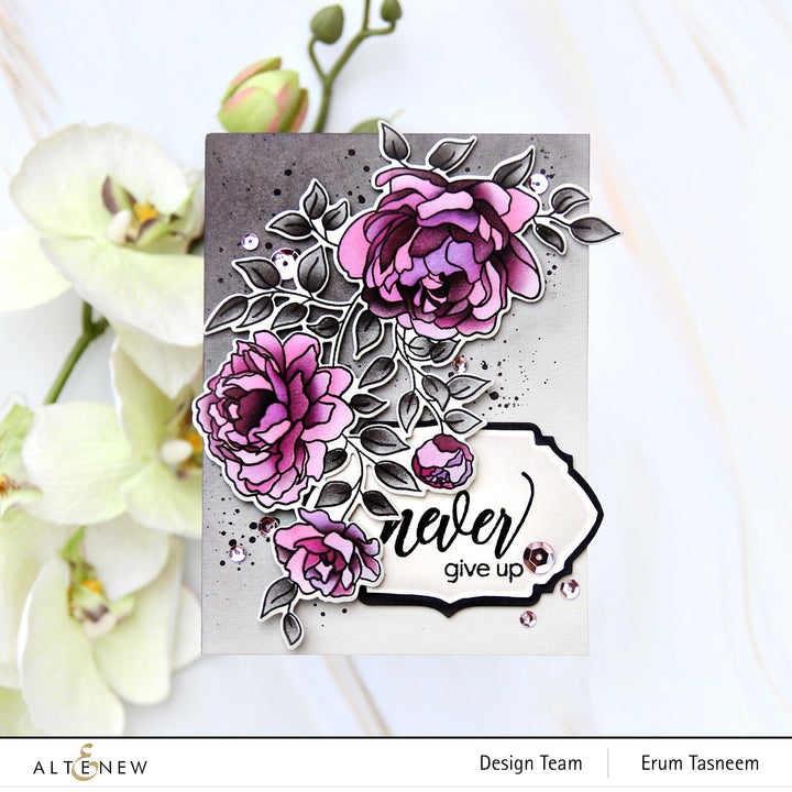 Altenew Craft Your Life Project Kit Craft Your Life Project Kit: Never Stop Dreaming