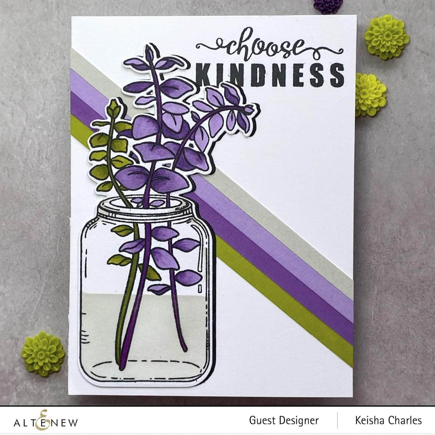 Altenew Creativity Kit Bundle Sketched Jar Creativity Cardmaking Kit