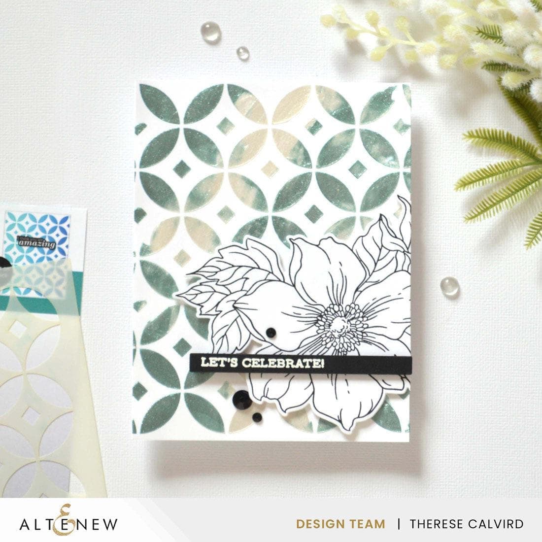 Solid Sentiments Complete Bundle