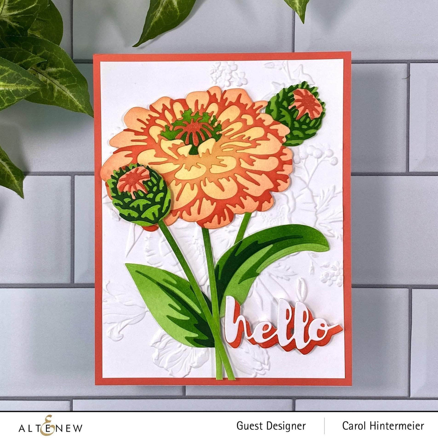 Altenew Die & Paper Bundle Craft-A-Flower: California Giants Layering Die Set & Gradient Cardstock Bundle