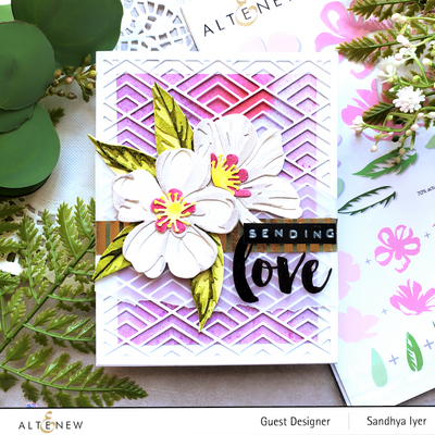 Altenew Die & Paper Bundle Craft-A-Flower: Cistus Layering Die Set & Modern Colors Gradient Cardstock Bundle