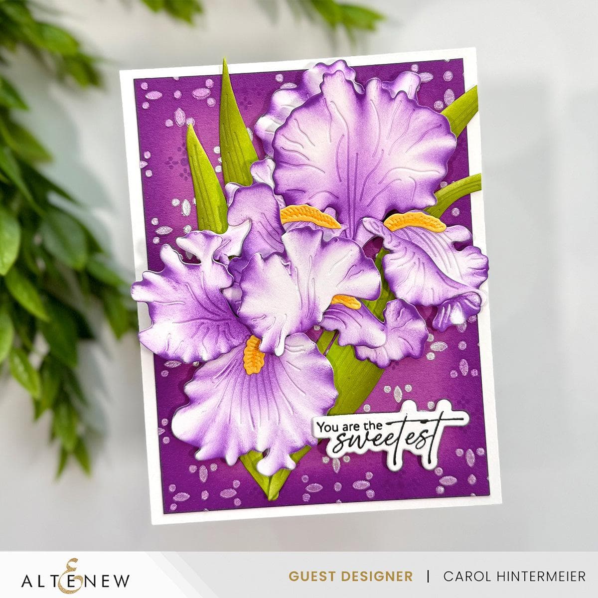 Craft-A-Flower: Bearded Iris Layering Die Set | Altenew