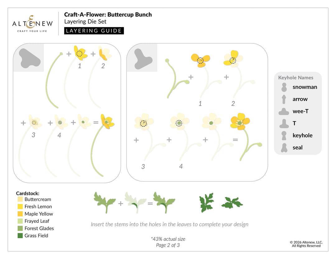 Craft-A-Flower: Buttercup Bunch Layering Die Set