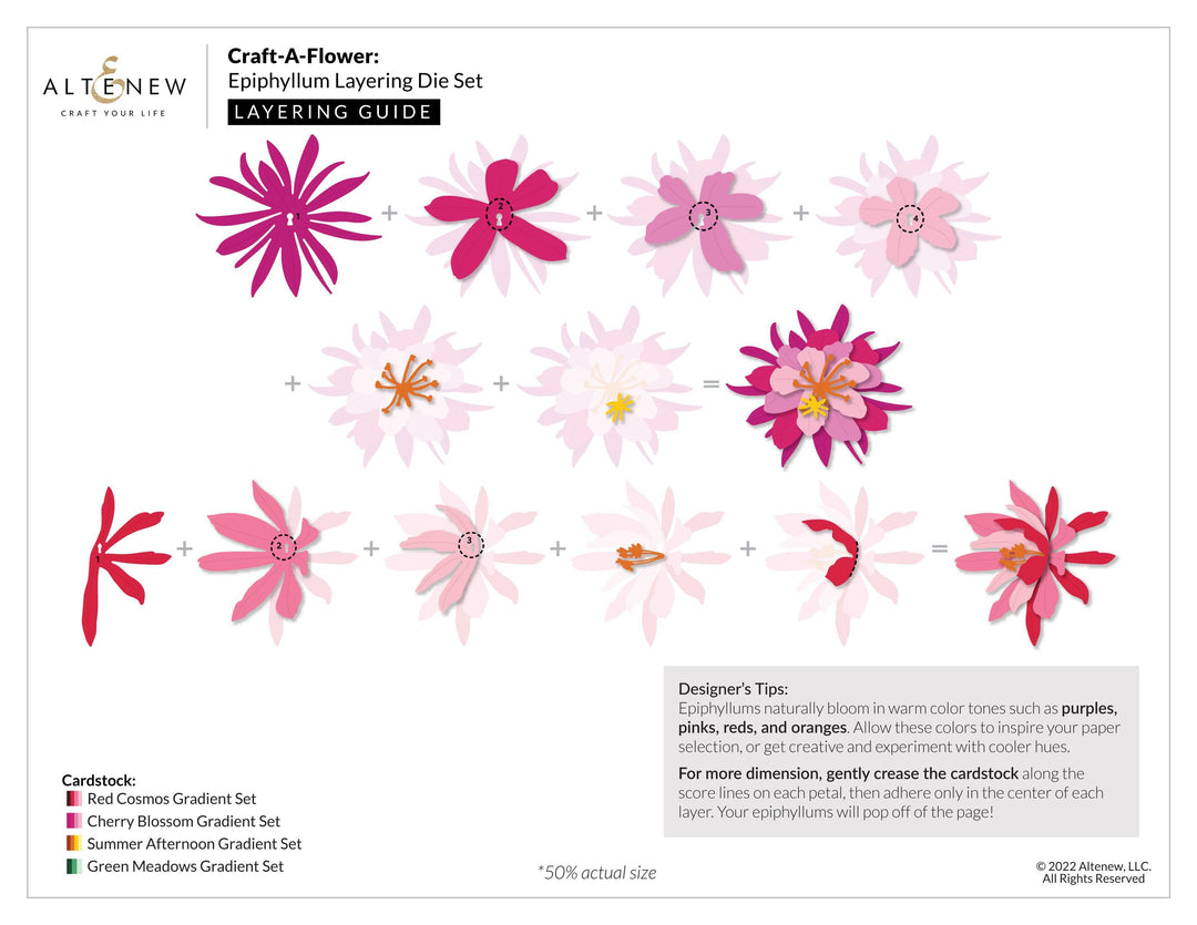 Part A-Glitz Art Craft Co.,LTD Dies Craft-A-Flower: Epiphyllum Layering Die Set