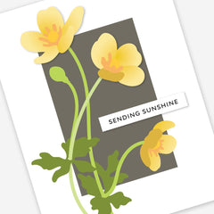 Craft-A-Flower Monthly Subscription Plan