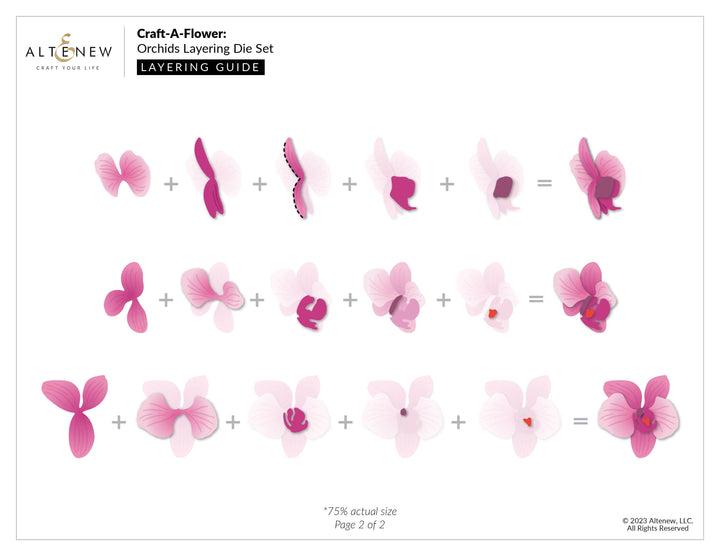 Part A-Glitz Art Craft Co.,LTD Dies Craft-A-Flower: Orchids Layering Die Set