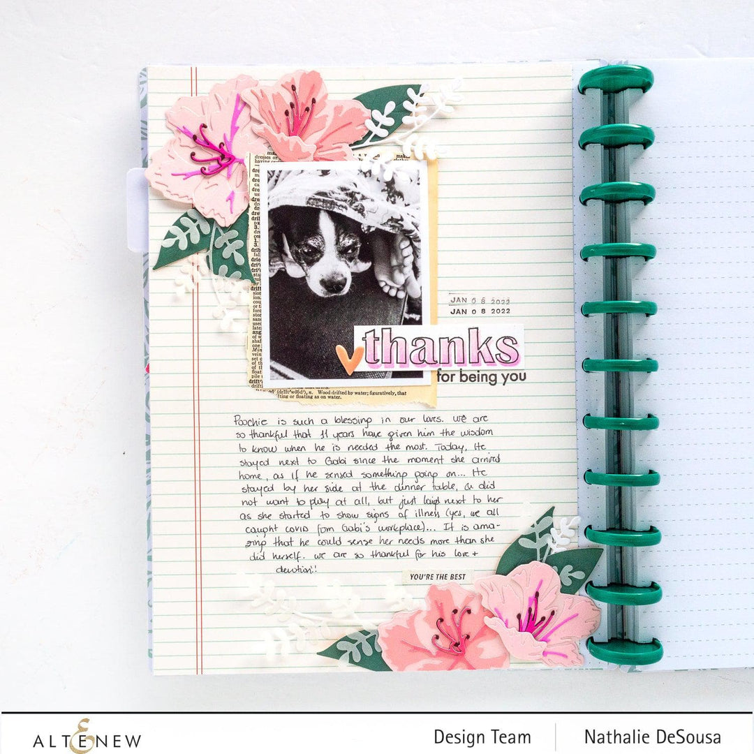 Part A-Glitz Art Craft Co.,LTD Dies Craft-A-Flower: Sunburst Azalea Layering Die Set