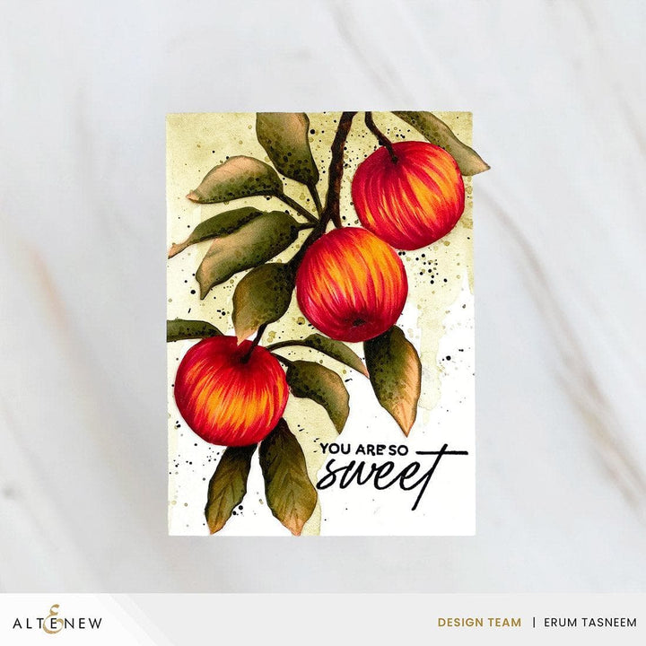 Craft Your Life Project Kit: Sweet Harvest Add-On Die Set