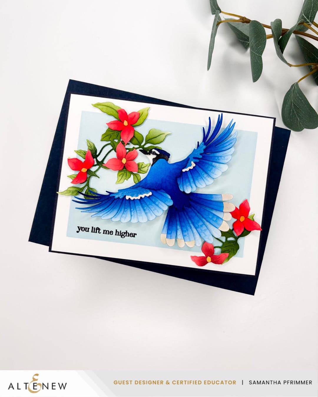 Creative Cuts: Feathered Beauty Layering Die Set