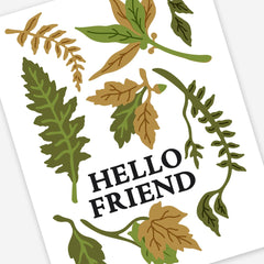 Creative Cuts Monthly Subscription Plan