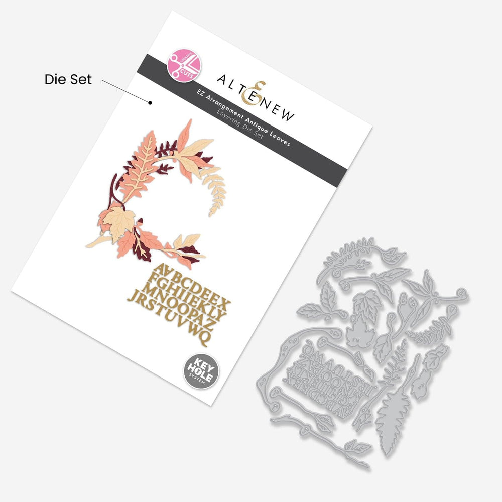 Creative Cuts Monthly Subscription Plan