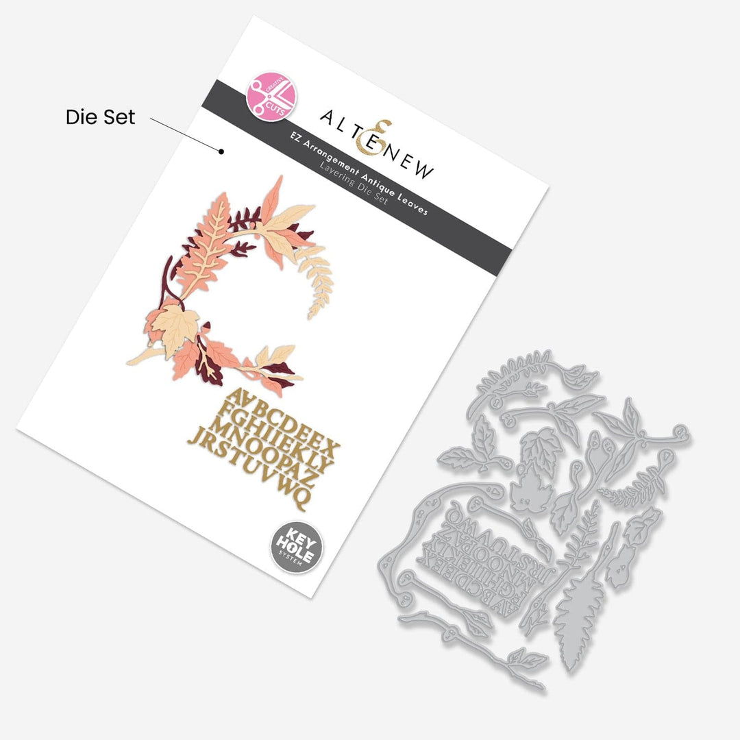 Creative Cuts Monthly Subscription Plan