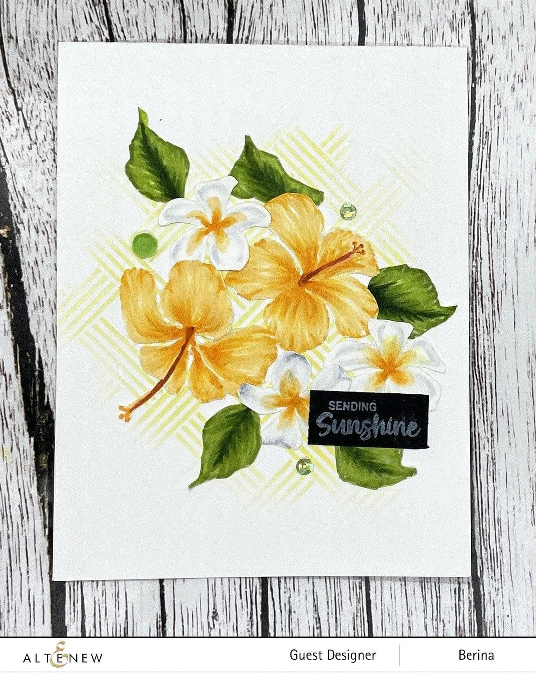 Part A-Glitz Art Craft Co.,LTD Dies Linear Life: Tropical Garden Die Set