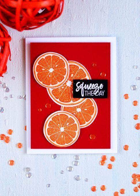 Altenew Main Squeeze die set with metal dies for paper crafting and scrapbooking, featuring various shapes and designs.