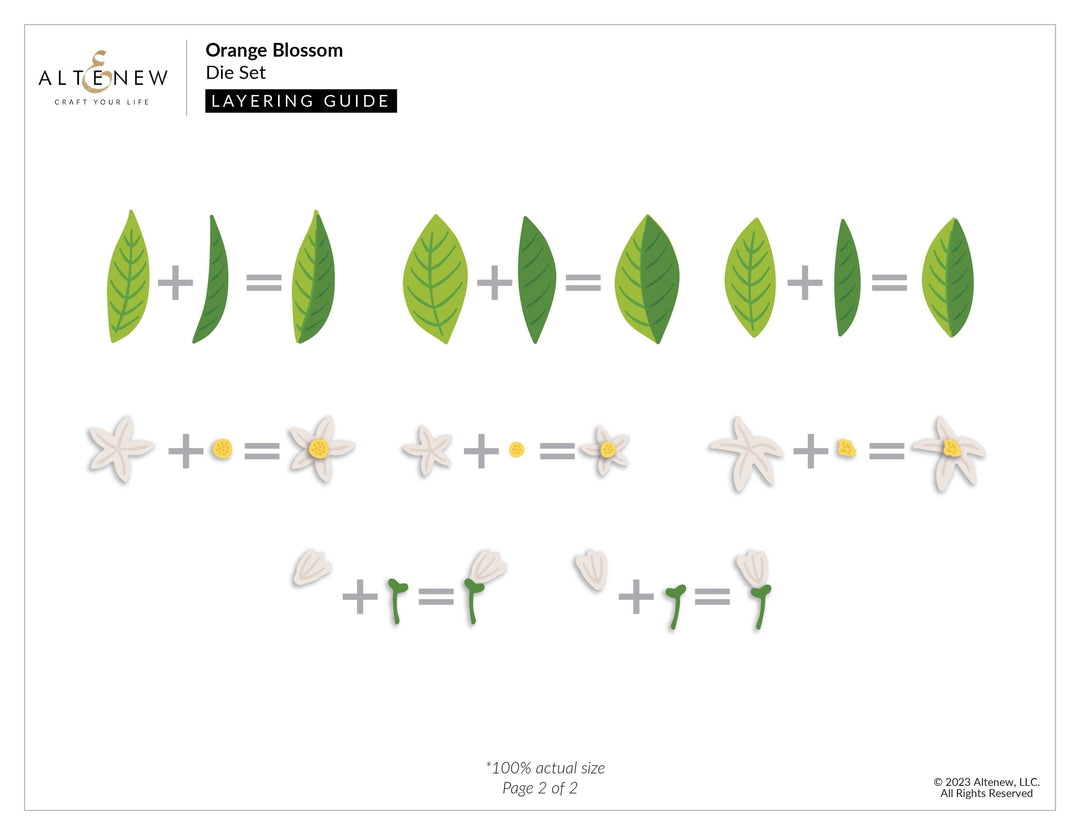Part A-Glitz Art Craft Co.,LTD Dies Orange Blossom Die Set