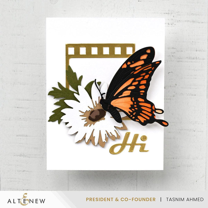 Picture Perfect Die Set