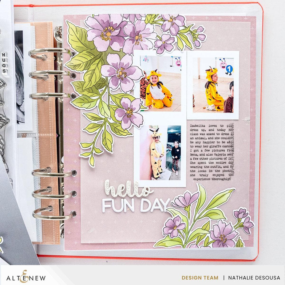 Scripted Sentiments Die Set