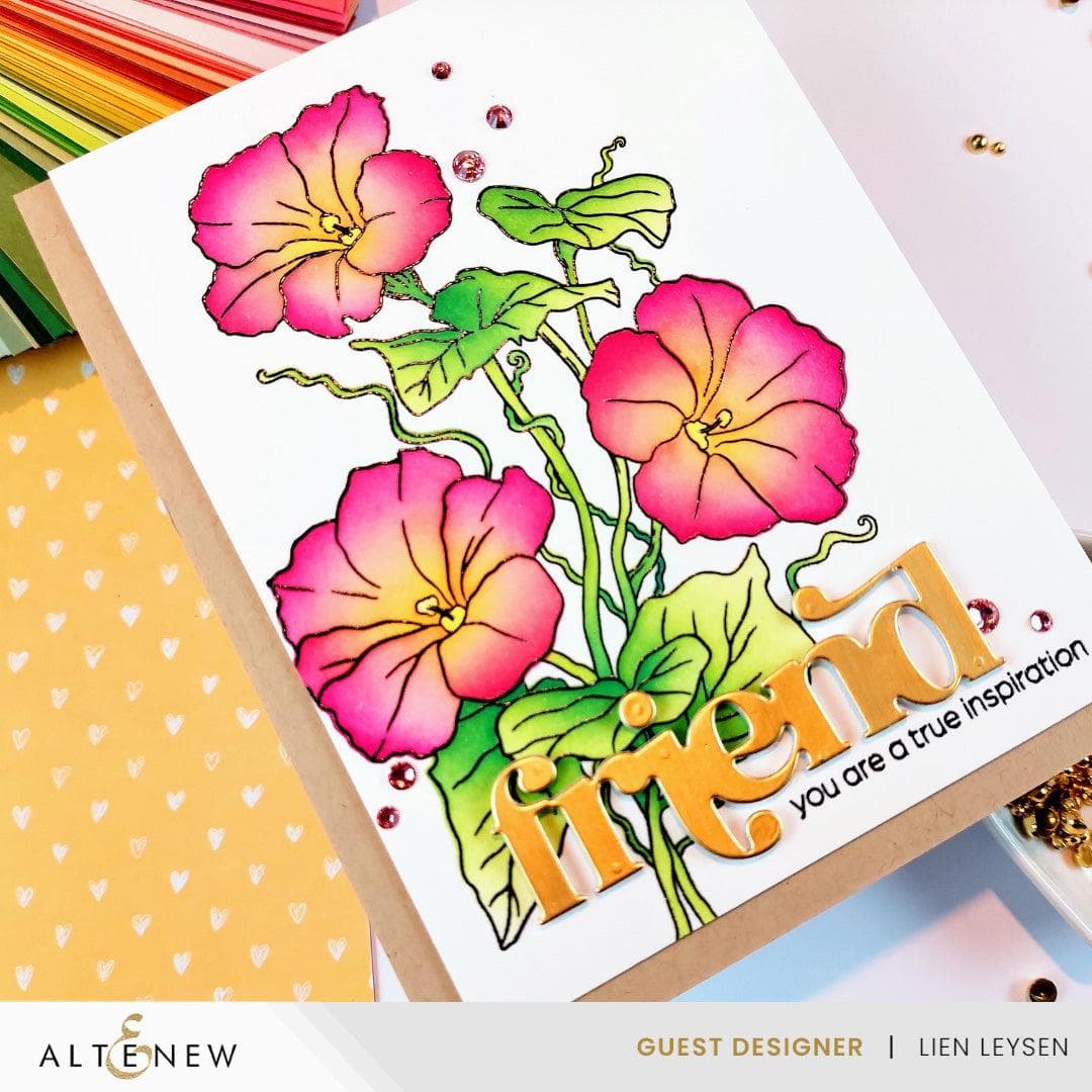 Timeless Sentiments 2 Die Set