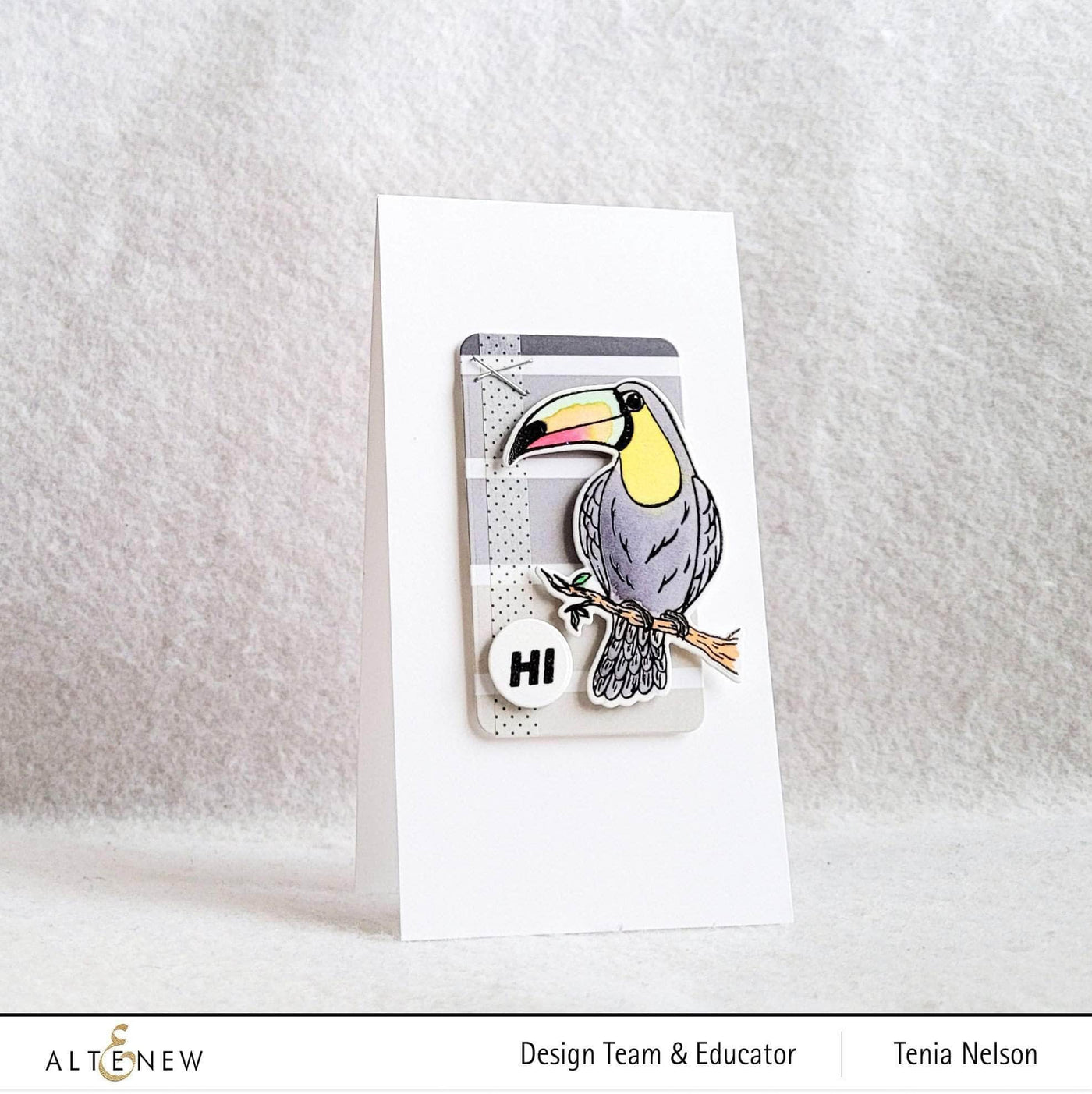 Part A-Glitz Art Craft Co.,LTD Dies Tropical Toucan Die